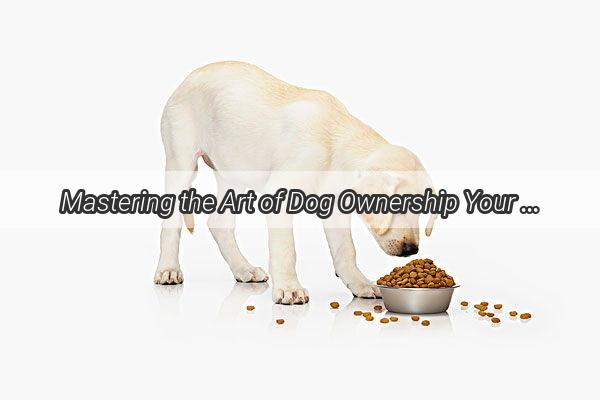 Mastering the Art of Dog Ownership Your Ultimate Newbies Guide to Raising a Happy Pup